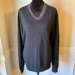 Toscano Merino Wool Blend V-Neck Sweater